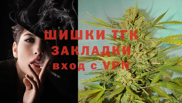 хмурый Белокуриха