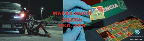 хмурый Белокуриха