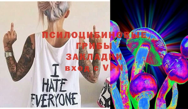 хмурый Белокуриха