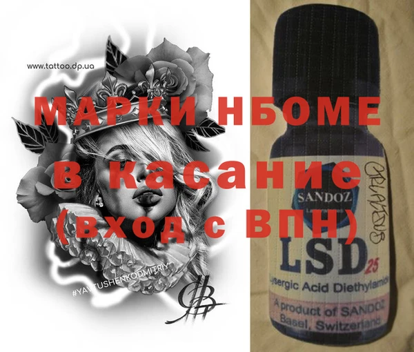 хмурый Белокуриха