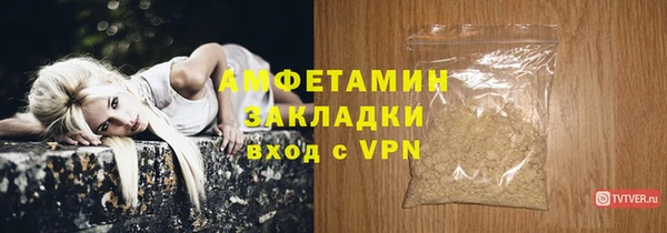 хмурый Белокуриха