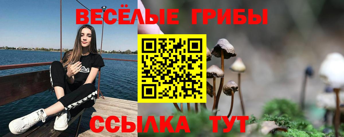 продажа наркотиков  Вход с VPN  Псилоцибиновые грибы Psilocybine cubensis  Вязники  Псилоцибиновые грибы мухоморы 