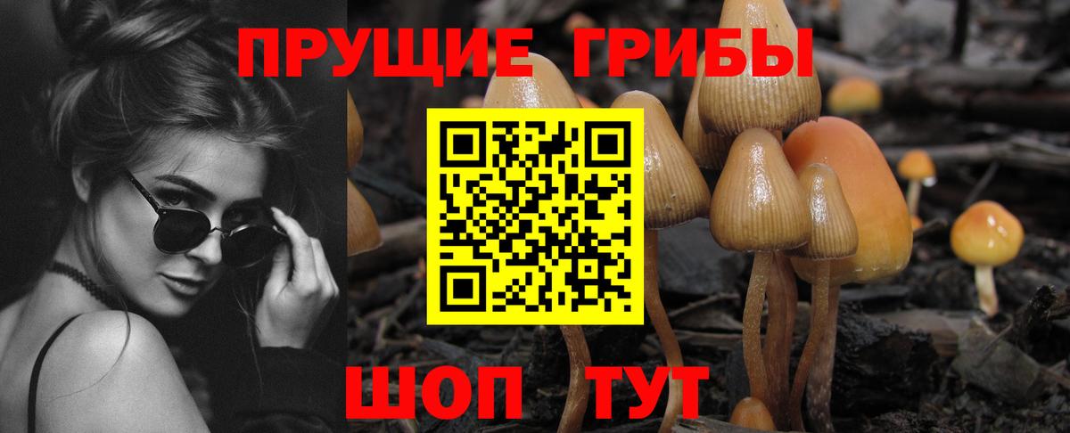 Псилоцибиновые грибы мицелий Вязники